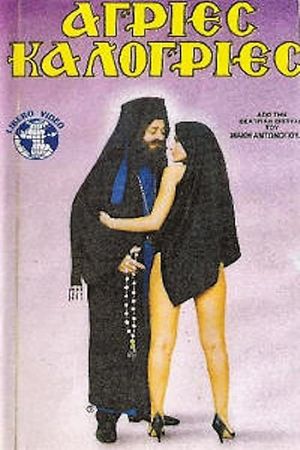 Wild Nuns's poster image