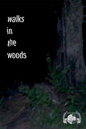 Walks in the woods's poster