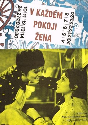 V kazdém pokoji zena's poster