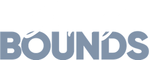 Out of Bounds's poster