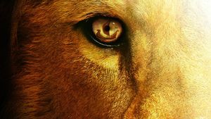 The Chronicles of Narnia: The Voyage of the Dawn Treader's poster