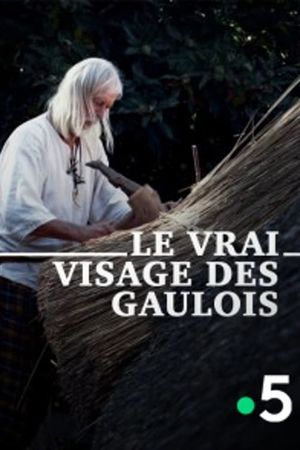 Le Vrai Visage des Gaulois's poster