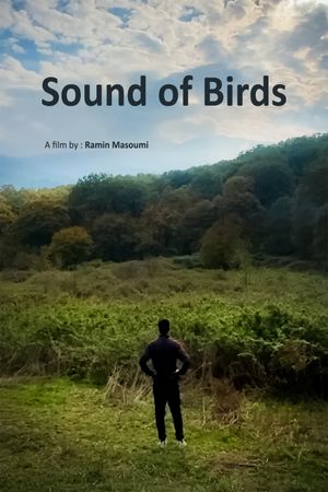 Sound of birds's poster