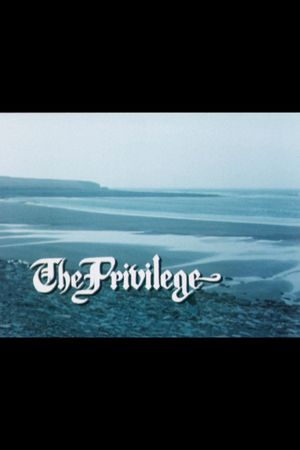The Privilege's poster