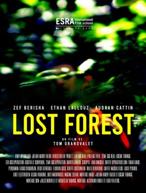 Lost Forest's poster