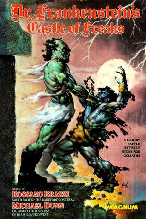 Frankenstein's Castle of Freaks's poster