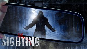 The Sighting's poster