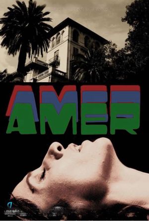 Amer's poster