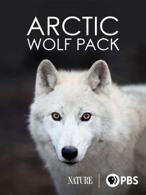 Nature: Arctic Wolf Pack's poster