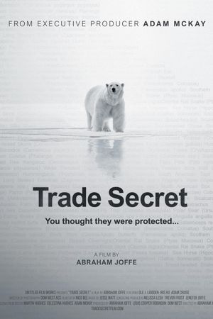 Trade Secret's poster image
