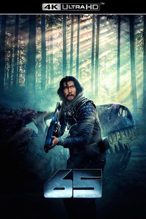 65's poster