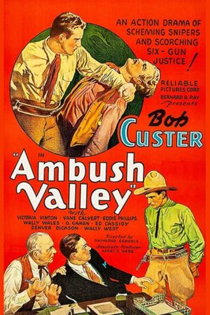 Ambush Valley's poster