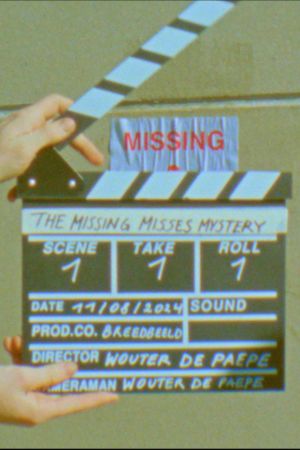 The Missing Misses Mystery's poster