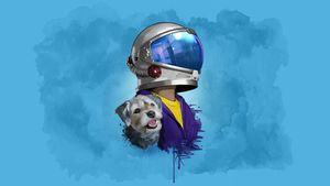 Wonder's poster