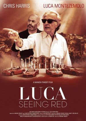 Luca - Seeing Red's poster
