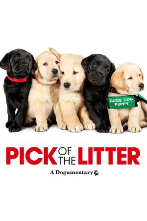 Pick of the Litter's poster