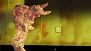 The Pig Walks's poster