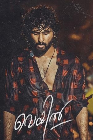 Veyil's poster