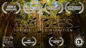 Tadpoles: The Big Little Migration's poster