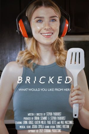 Bricked's poster