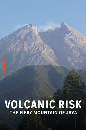 Java in Jeopardy - Exploring the Volcano's poster