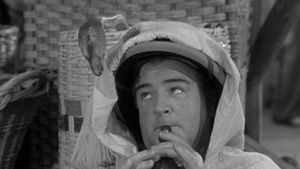 Abbott and Costello Meet the Mummy's poster
