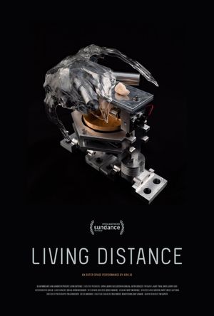 Living Distance's poster