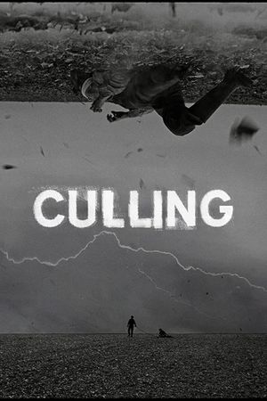 Culling's poster