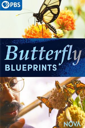 Butterfly Blueprints's poster image