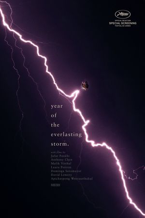 The Year of the Everlasting Storm's poster