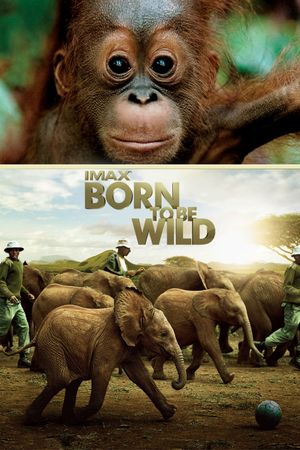 Born to Be Wild's poster