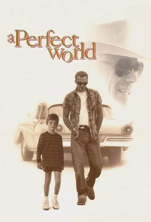 A Perfect World's poster