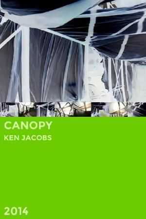 Canopy's poster