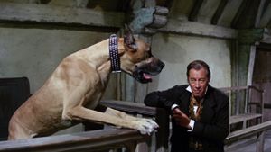 Doctor Dolittle's poster