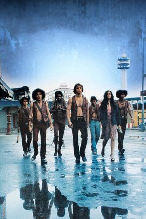 The Warriors's poster