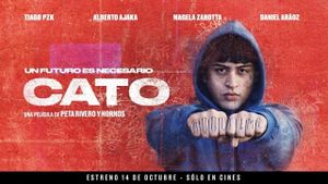 Cato's poster