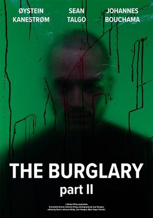 The Burglary: Part II's poster