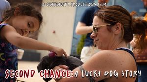 Second Chance: A Lucky Dog Story's poster