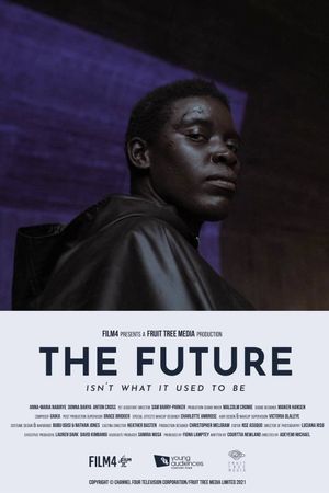 The Future Isn't What It Used To Be's poster