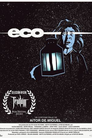 Echo's poster