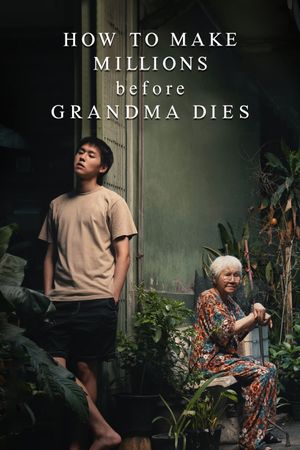 How to Make Millions Before Grandma Dies's poster