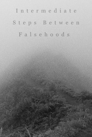 Intermediate Steps Between Falsehoods's poster