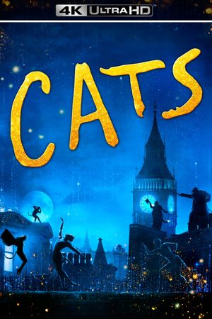 Cats's poster