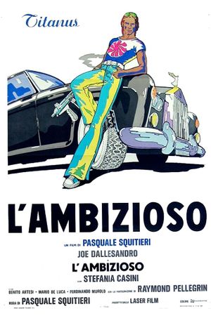 The Climber's poster