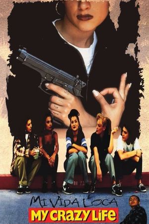 My Crazy Life's poster