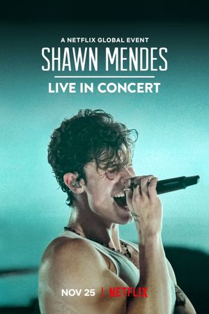Shawn Mendes: Live in Concert's poster