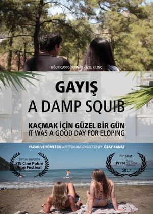 A Damp Squib's poster