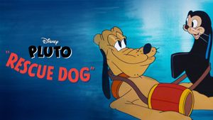 Rescue Dog's poster