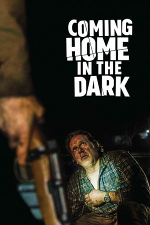 Coming Home in the Dark's poster