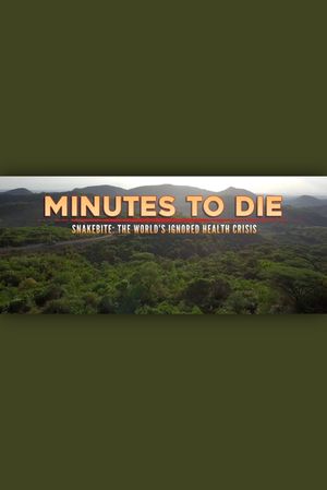 Minutes to Die: The World's Ignored Health Crisis's poster image